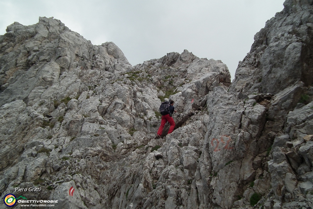 43 alla Forcella del Camino....JPG